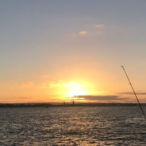 Meet your Posher, Bianca